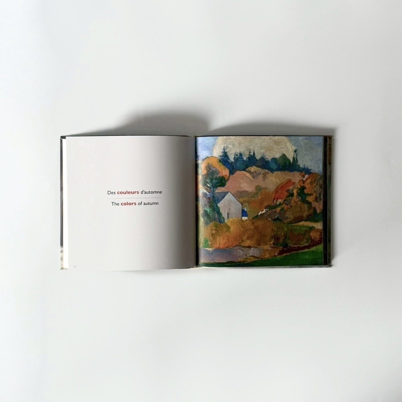 23C552AE-384C-47EA-85A1-2E7AD51D84C6