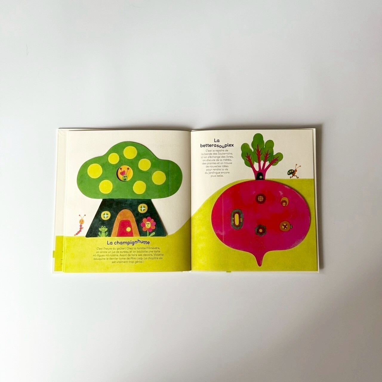 LINE_ALBUM_202592_250902_10