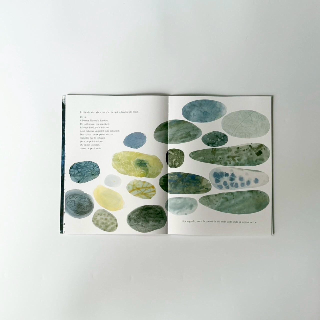 LINE_ALBUM_202592_250902_116