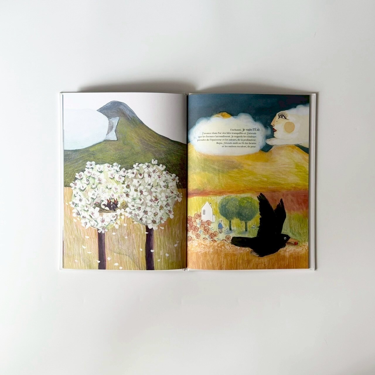 LINE_ALBUM_202592_250902_105