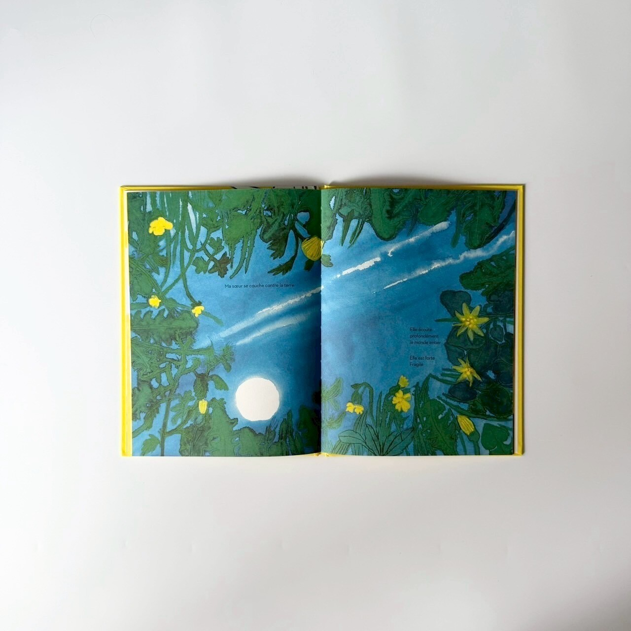 LINE_ALBUM_202592_250902_43