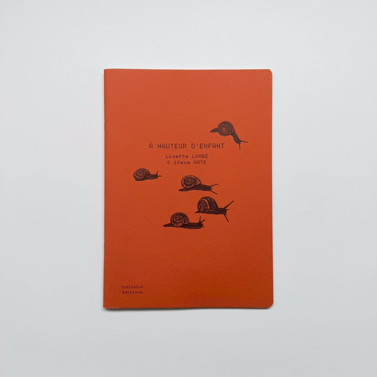 LINE_ALBUM_20251113_251113_7