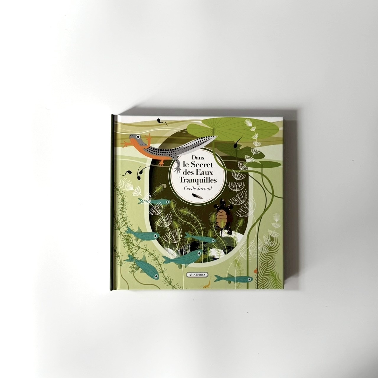 2BC963C7-6001-4F3E-AB94-77875DE541B9