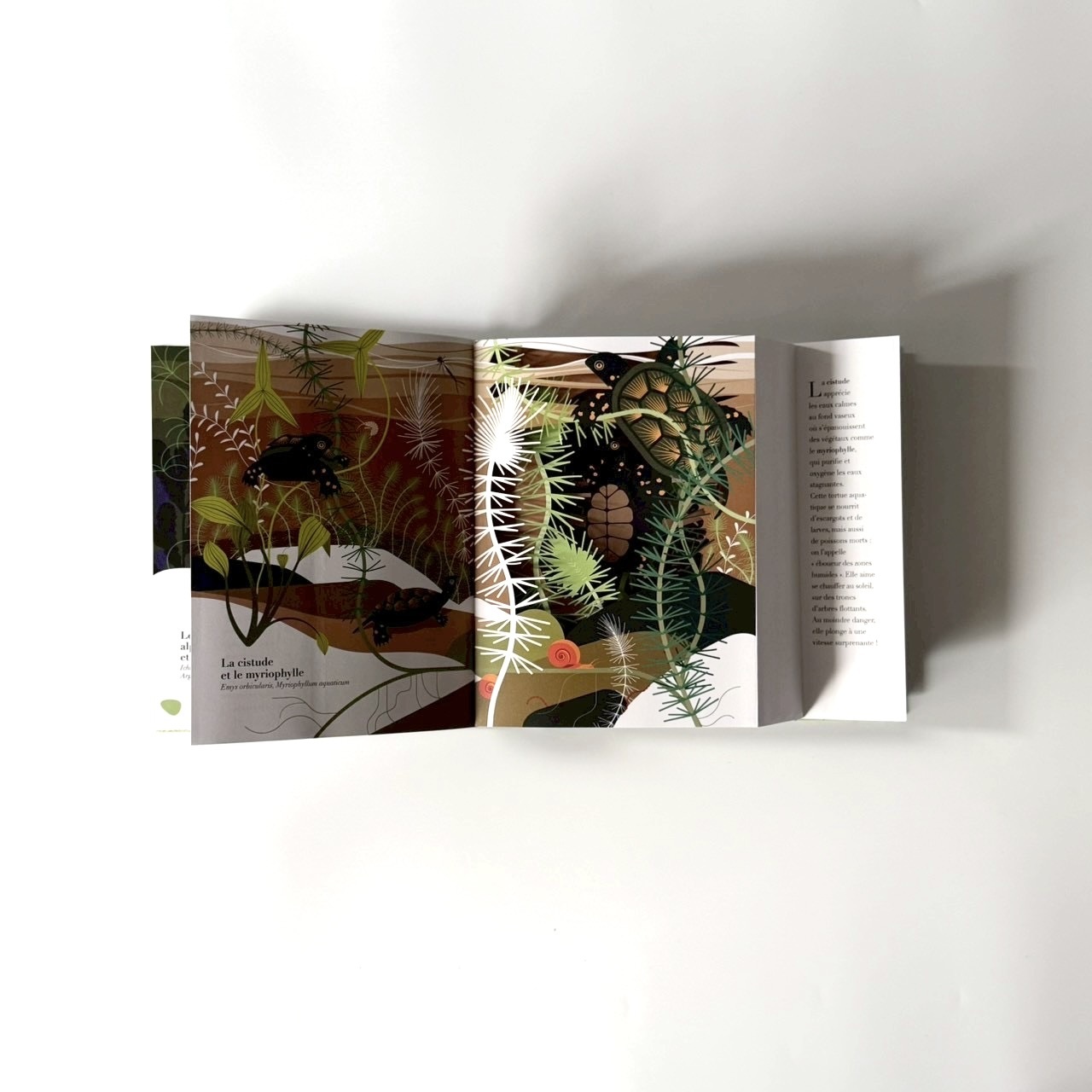 7A159BBD-163A-4E25-91F6-C0823596CE27