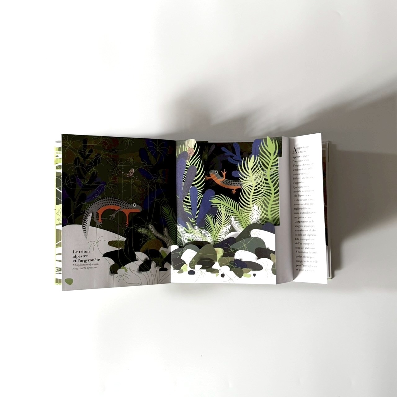 607EAA25-D20A-441D-A426-3CC28C7E8A1C