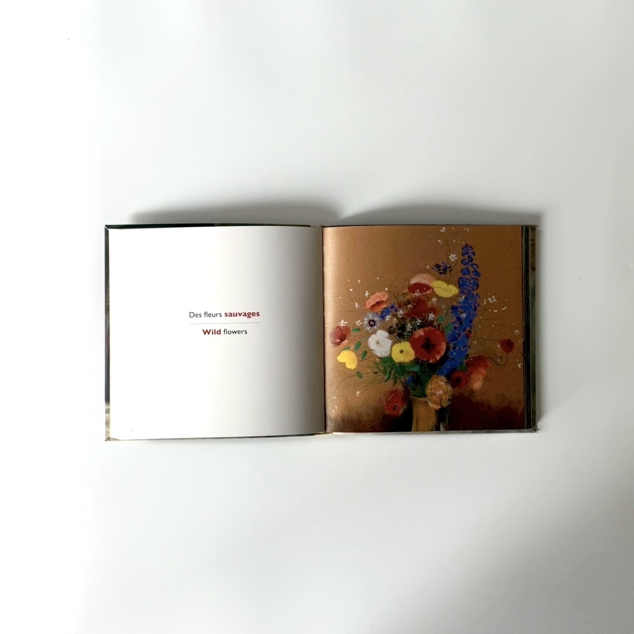 5D13554A-7E5F-4992-923C-8E557AEDBCD5