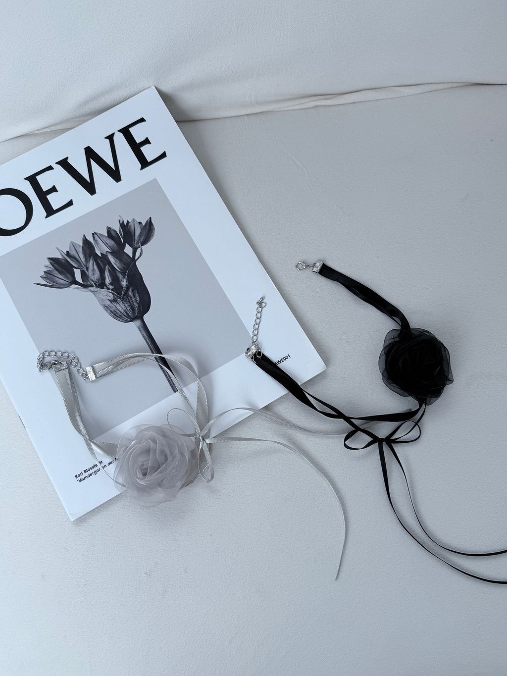 image_49A55928-0B1C-45B8-8544-5150373C0518_1752055156