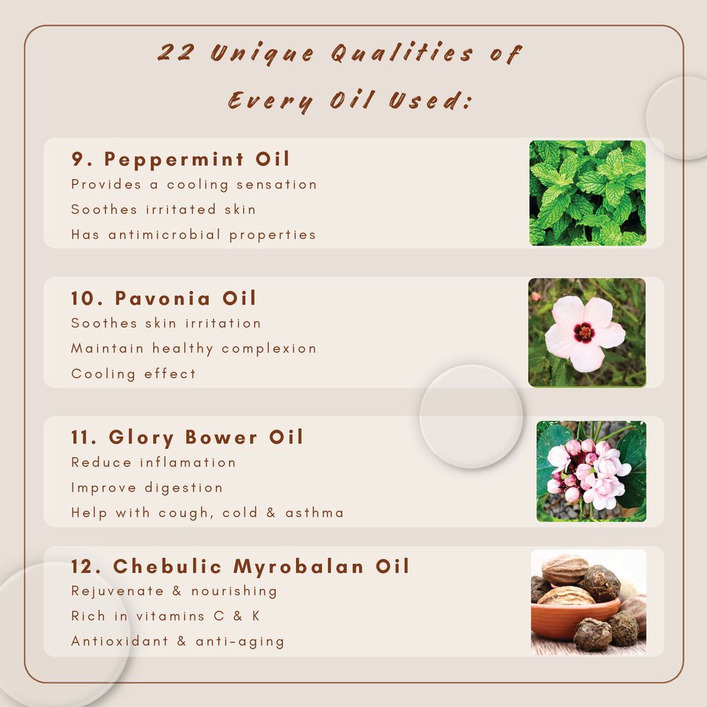 Kyuen updated CERNE Brocure (15 x 15 cm)_Page_09