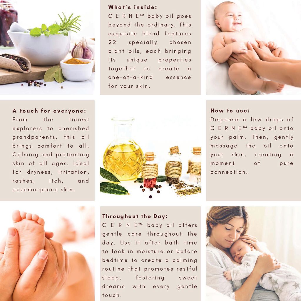 5Kyuen updated CERNE Brocure (15 x 15 cm)_Page_02