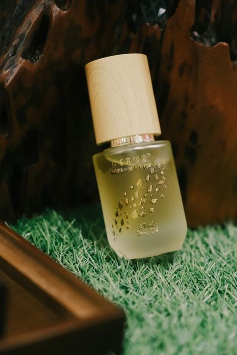 WhatsApp Image 2025-09-11 at 2.15.41 PM