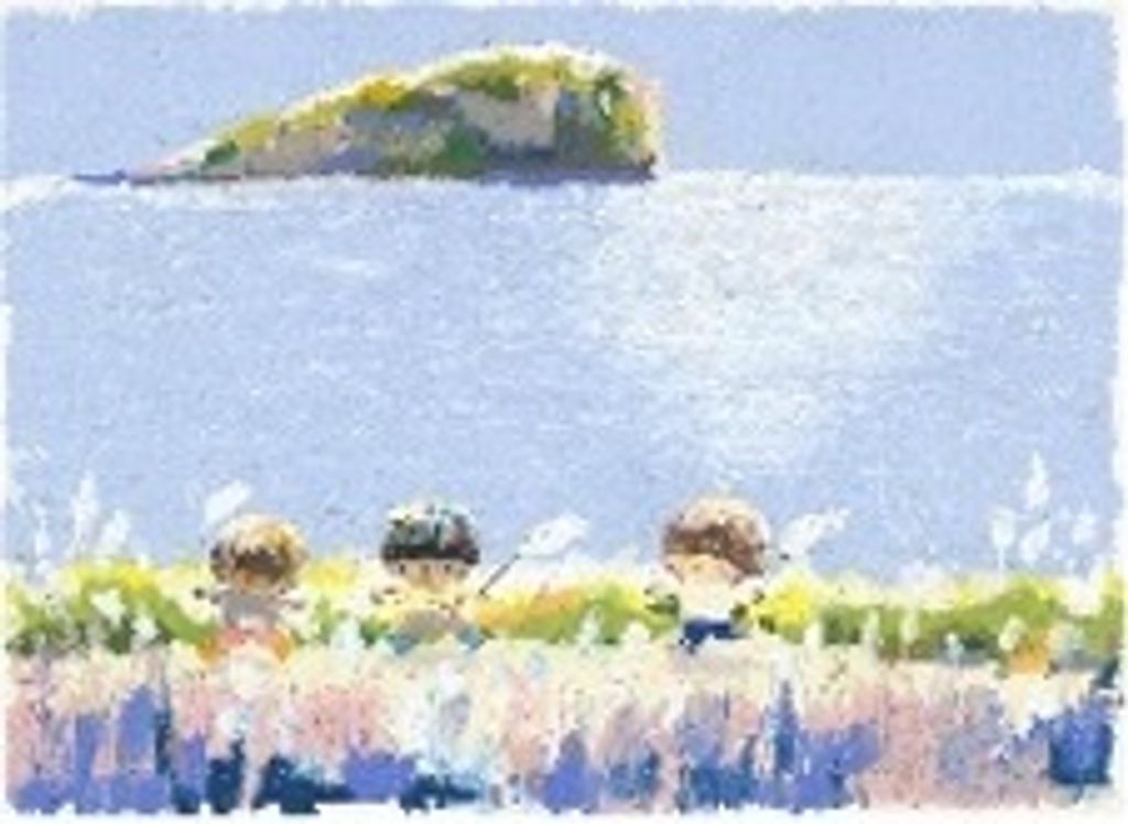 愛-芒草花開