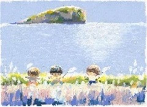 愛-芒草花開