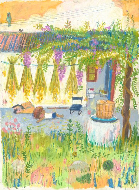 Ｖ紫藤花