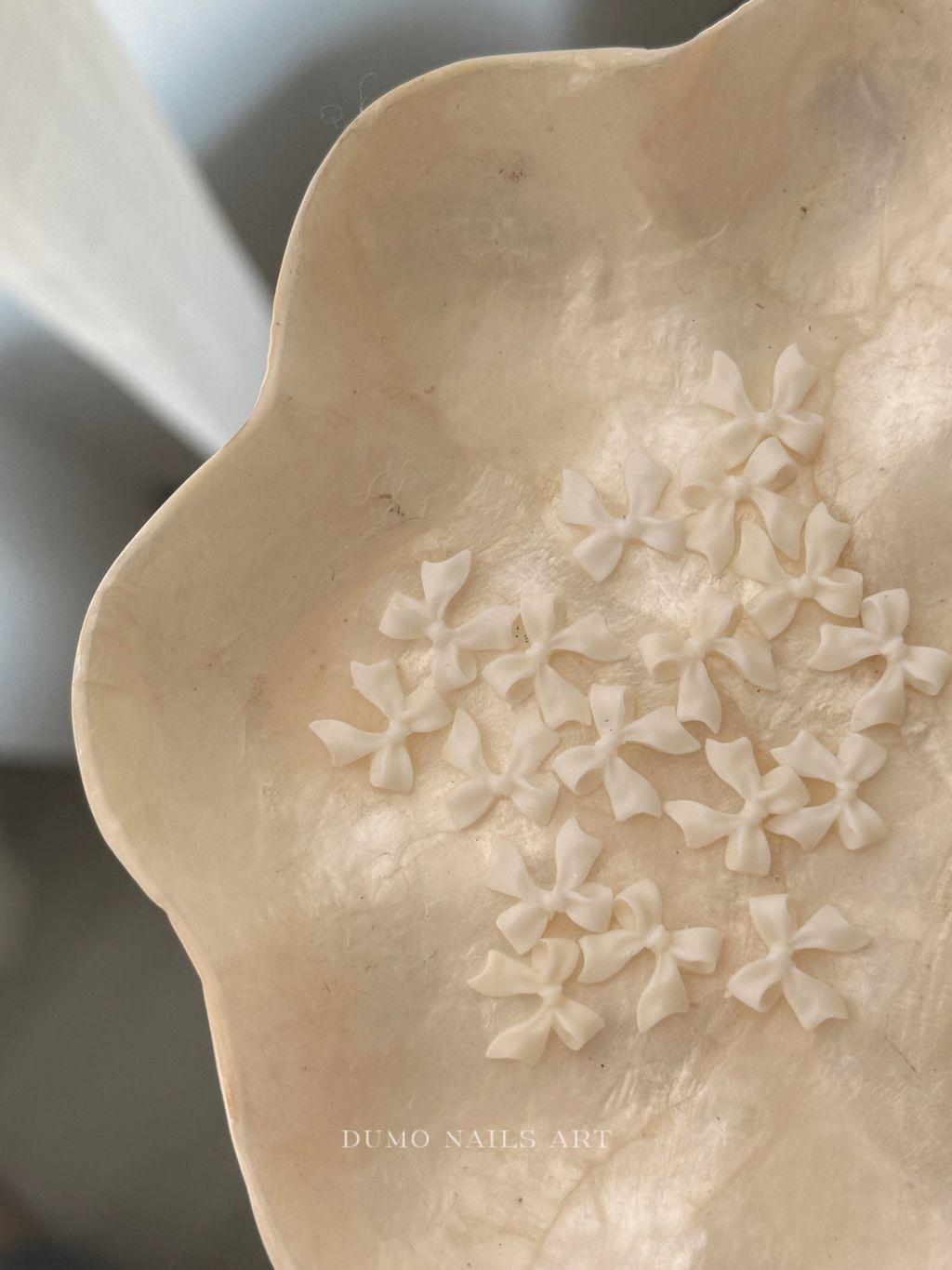 image_DF066B11-0168-4379-9118-DB53EB1279B3_1760116467