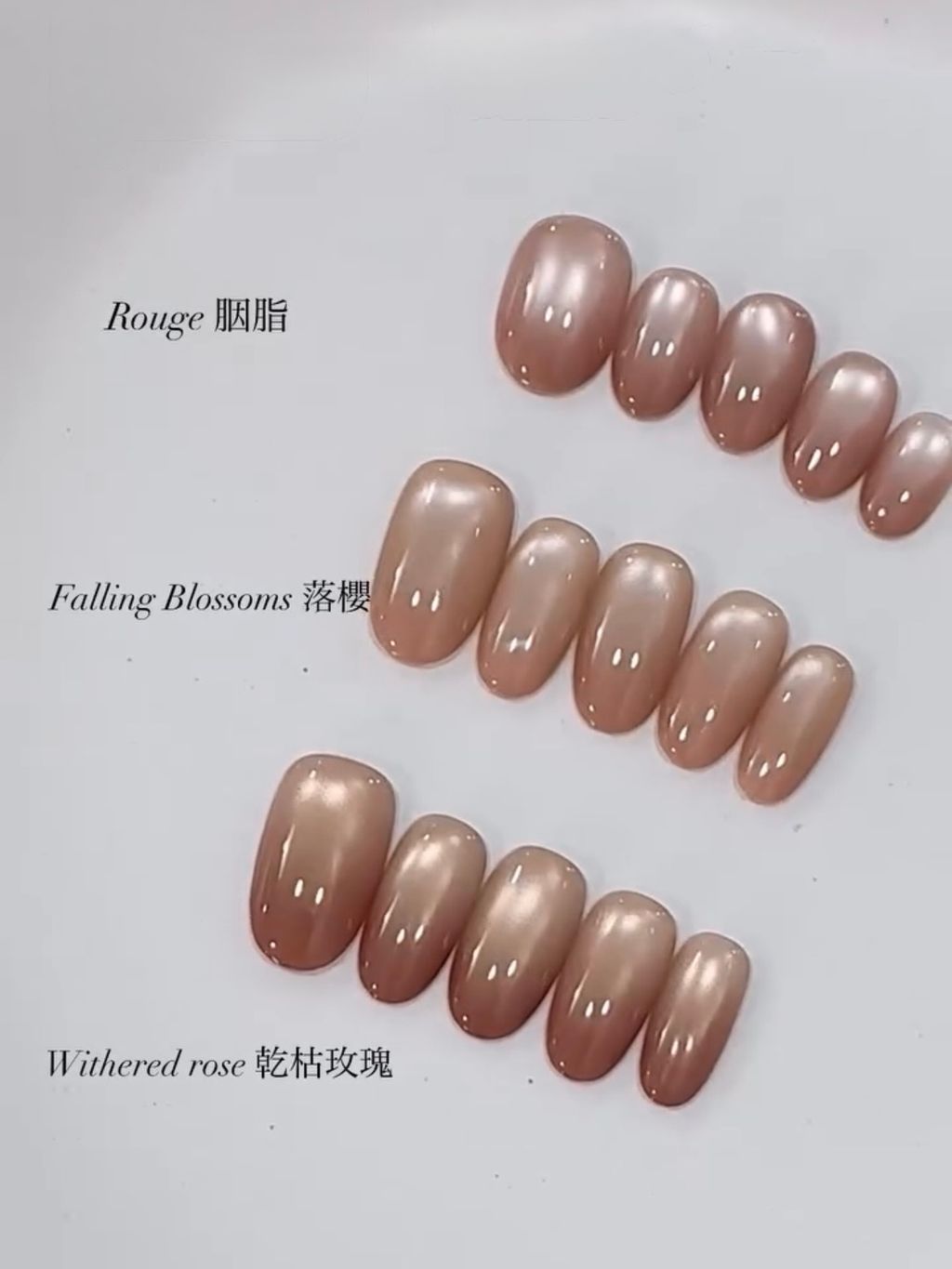 image_46A991BD-21A7-4391-A204-F0A801C45455_1769533011