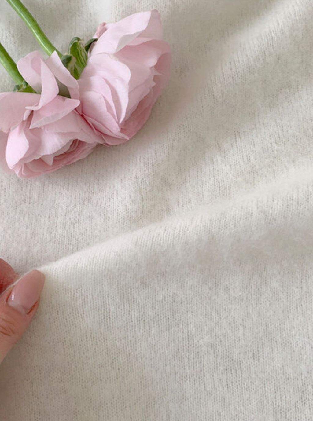 image_EA134930-7260-40F5-B176-142378DEC4B8_1769883362