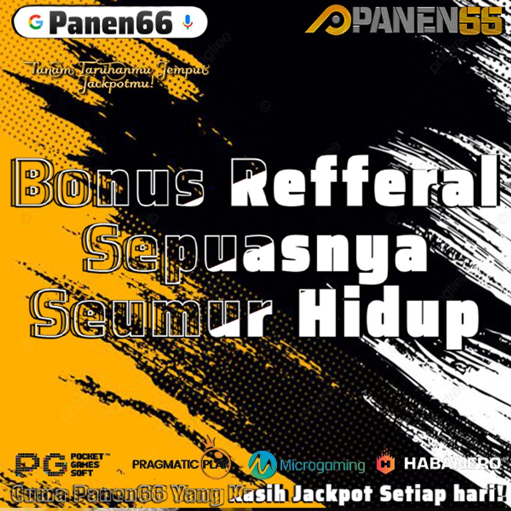 P66 20 juni 2024 4