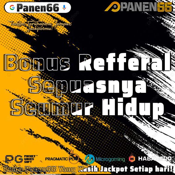 P66 20 juni 2024 4