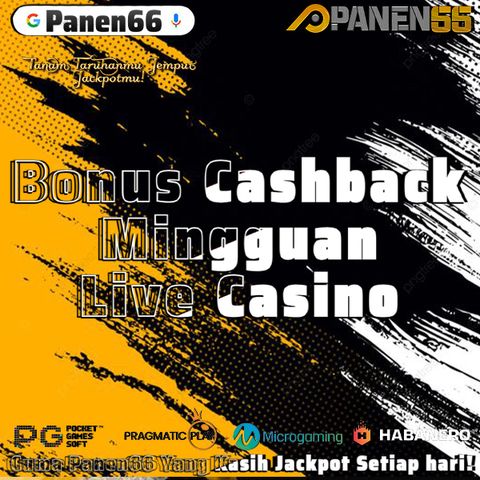 P66 20 juni 2024 5