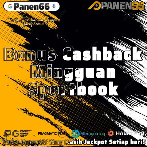 P66 20 juni 2024 6