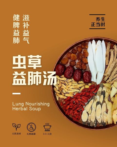 虫草益肺汤