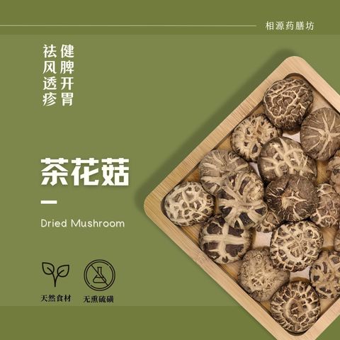 茶花菇
