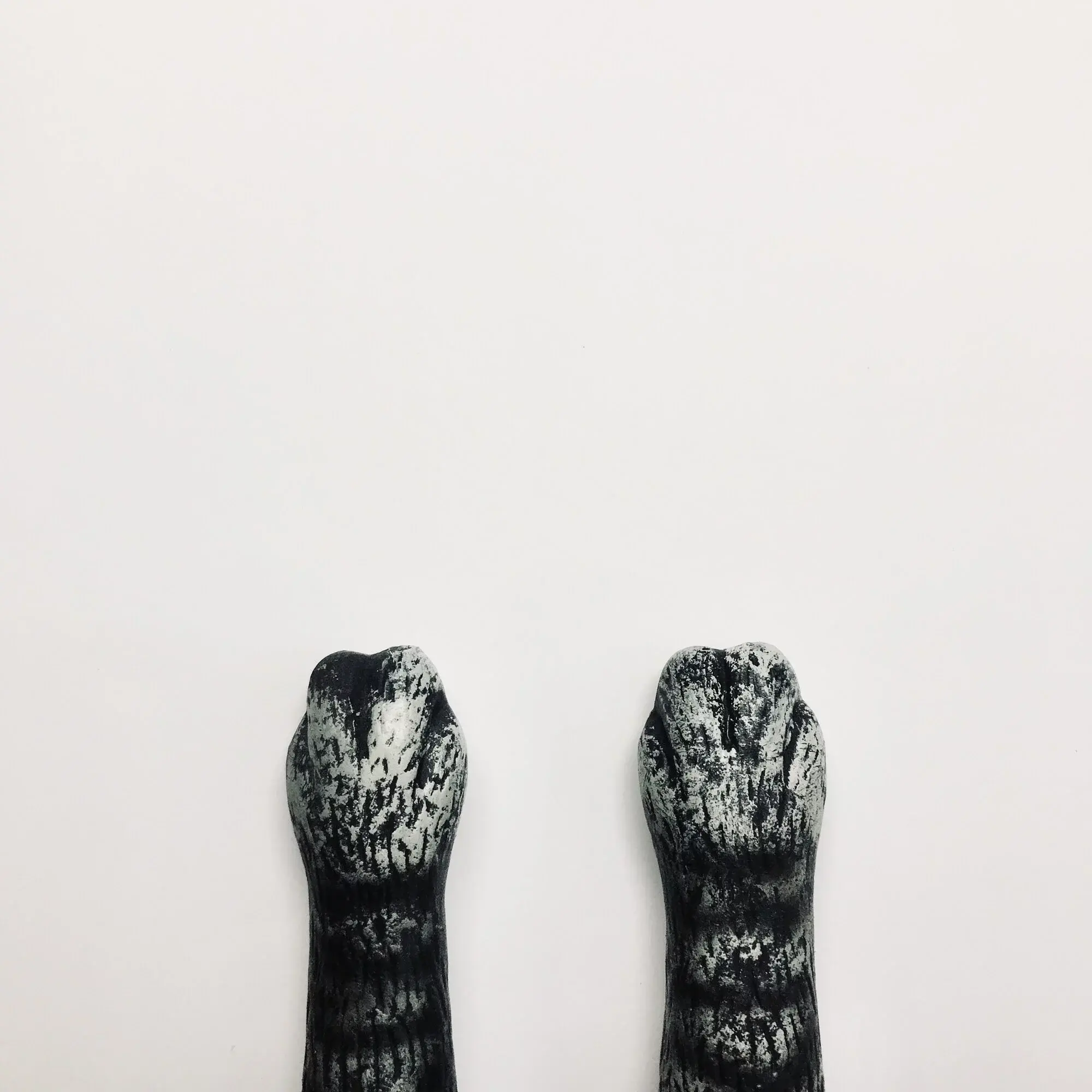 2000x