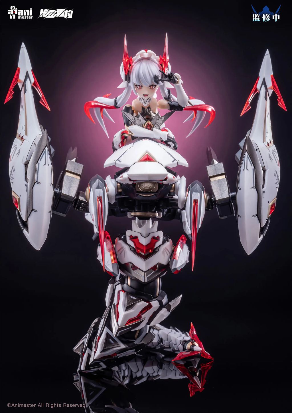 ant81048_10