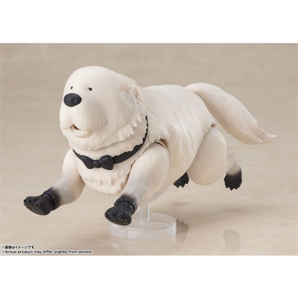 my-11134207-7r98y-lr8gfl0w86job8