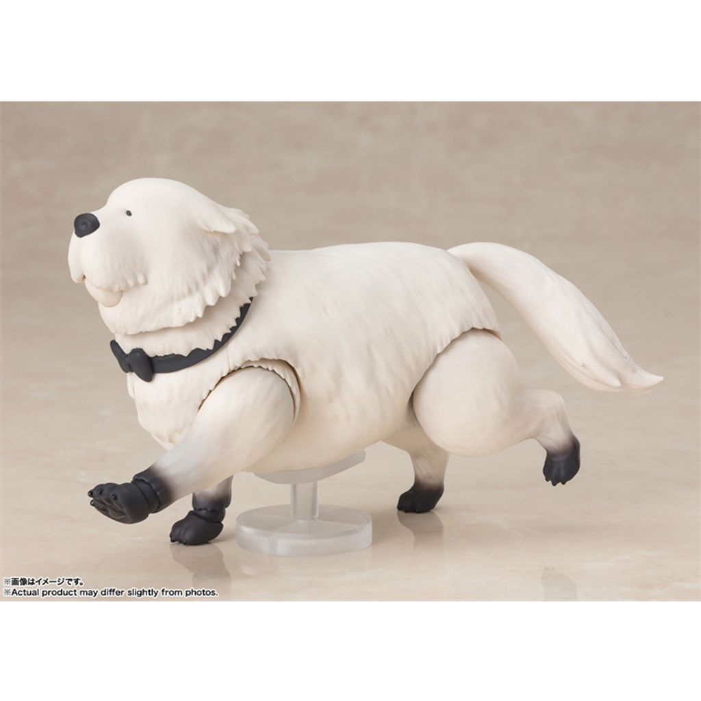 my-11134207-7r98y-lr8gfl0w9l44da