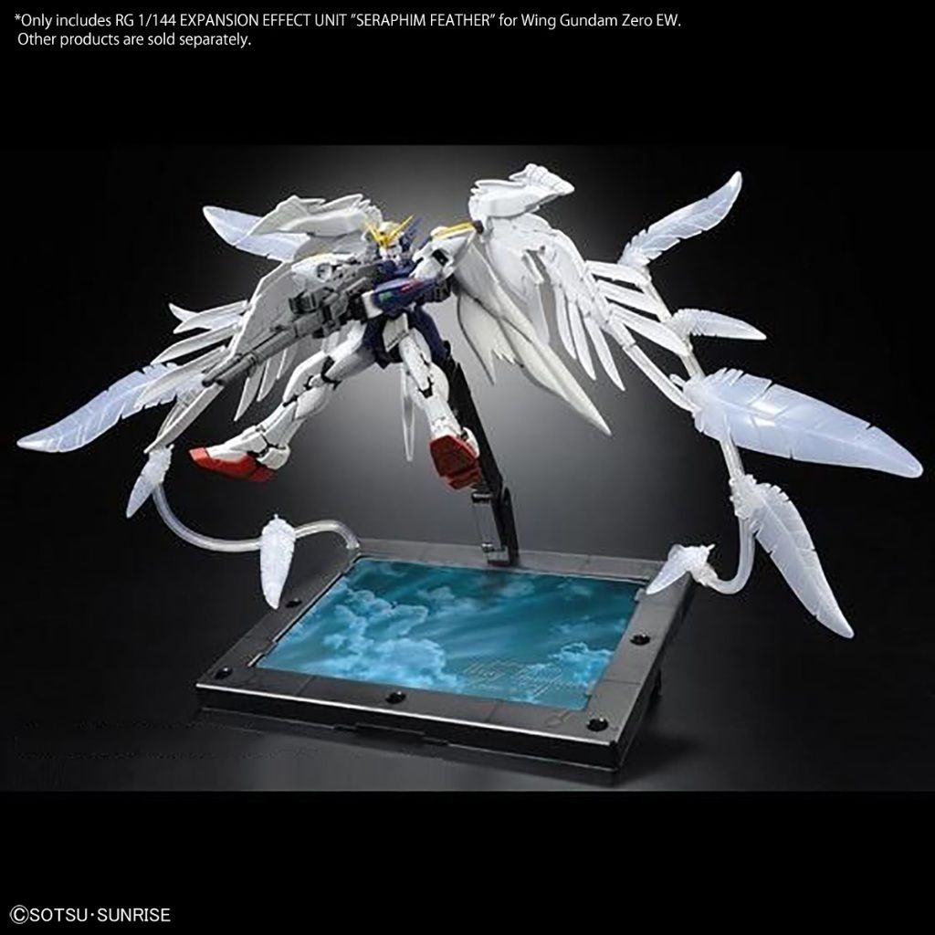 my-11134207-7rash-mbnomhisiq8n7f