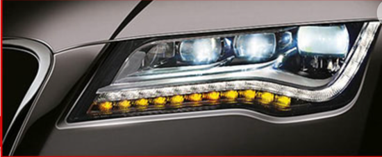  | BUCKSKINS WONG ENTERPRISE