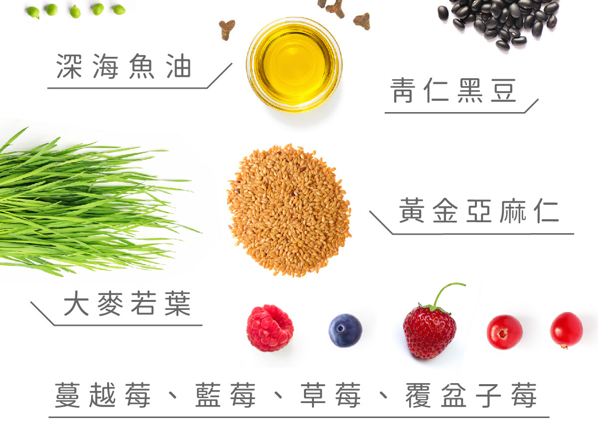 新寵糧-官網說明-貓_海魚_05