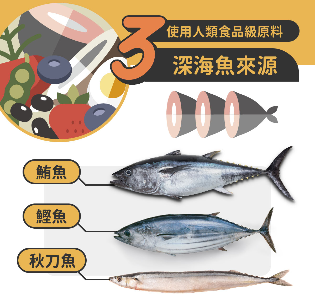 新寵糧-官網說明-貓_海魚_03