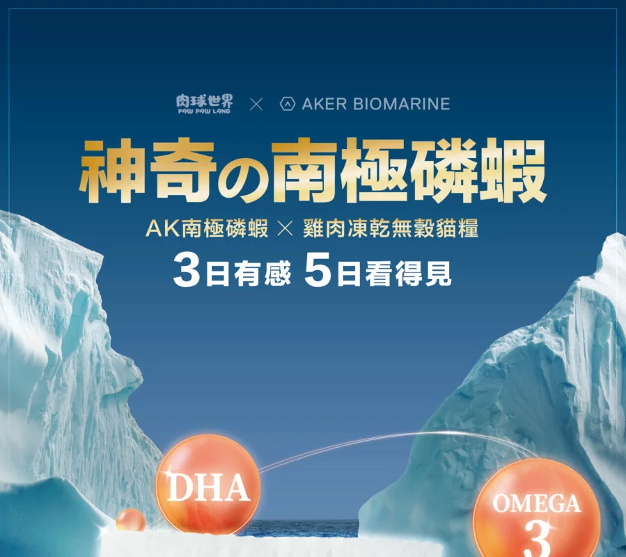 AK_0824_分段-1-899x800-optimized