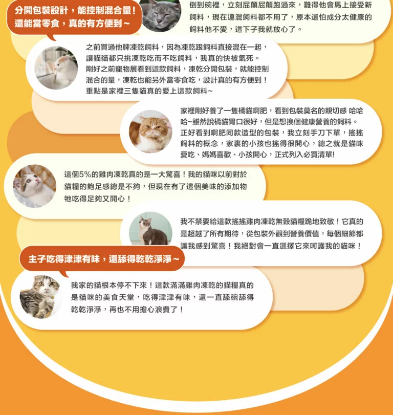 橘貓_分段-10-768x811-optimized