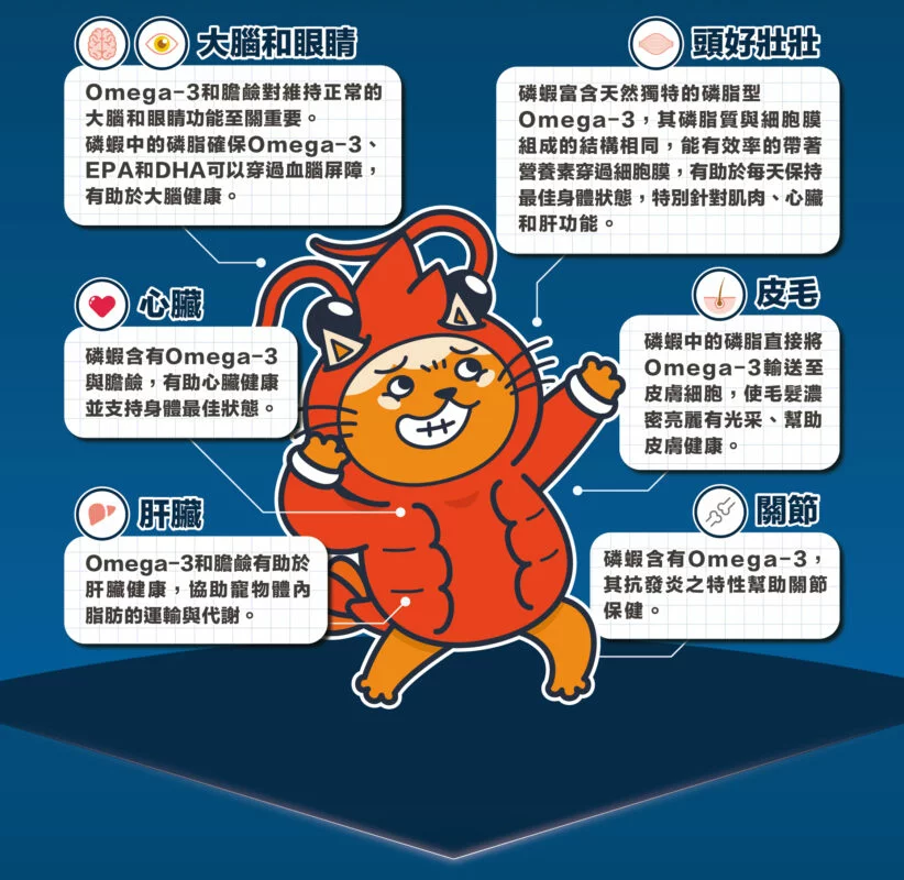 0617_分段-8-822x800-optimized