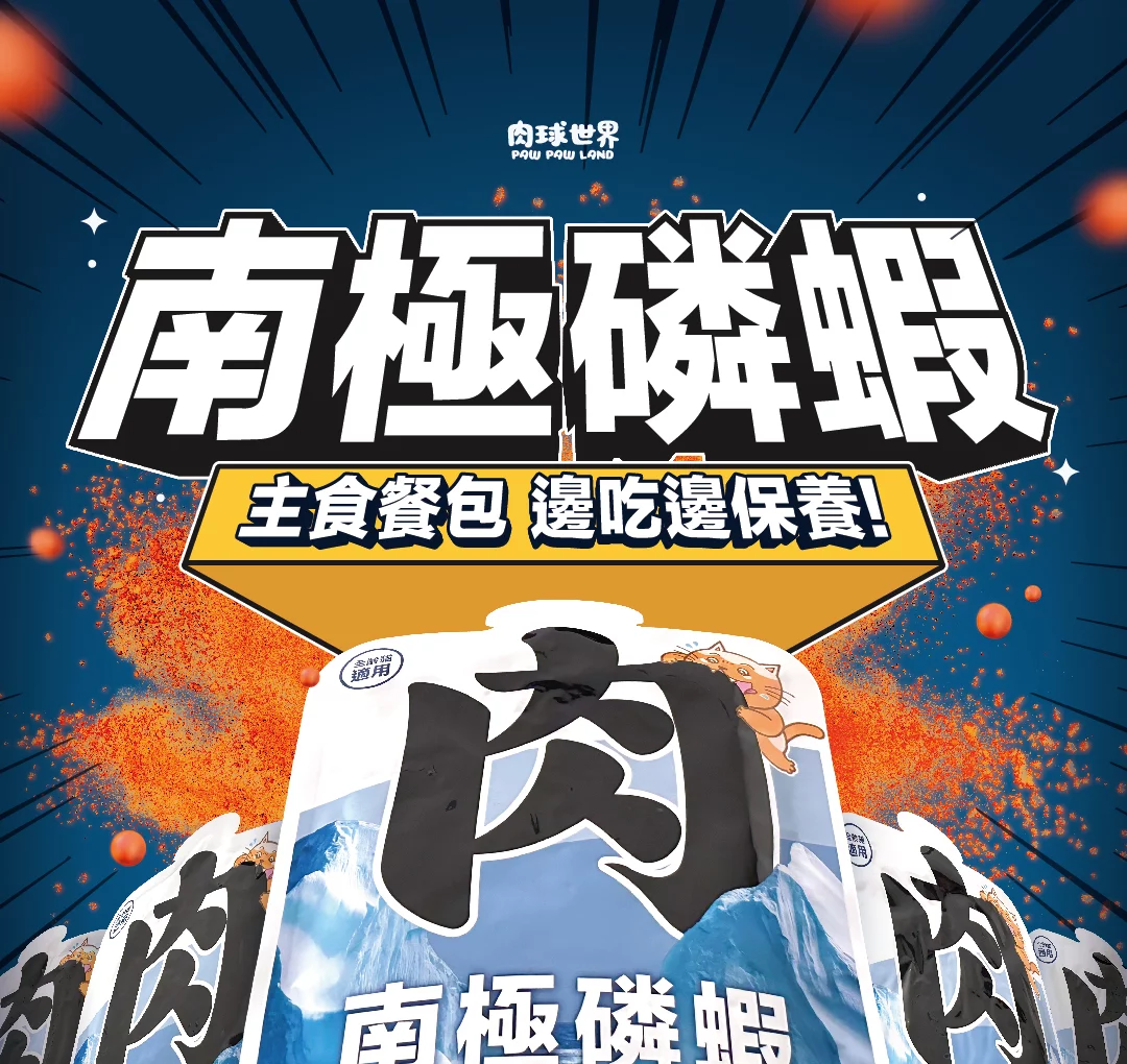 大肉包貓_分段-1-optimized