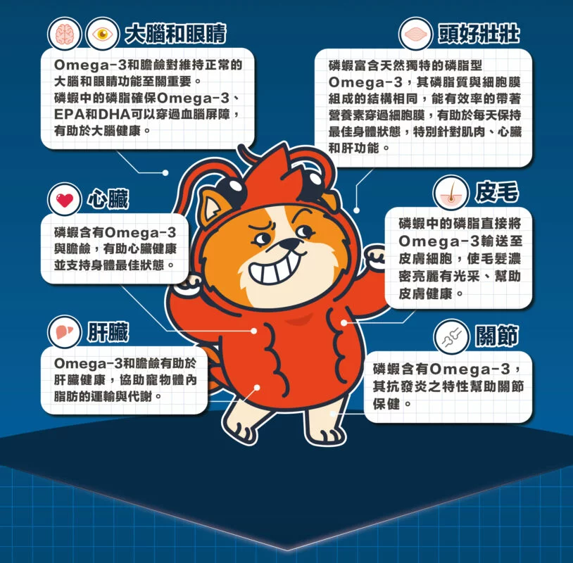 0617狗_分頁-6-814x800-optimized