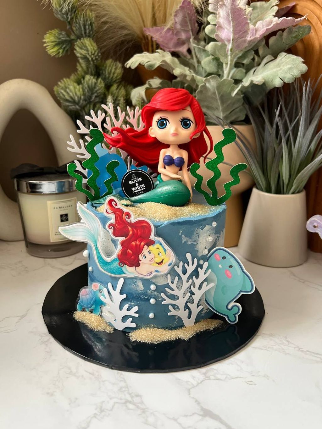 photo_9_2026-03-30_12-14-46