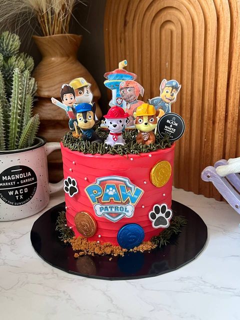 photo_2_2026-03-31_16-30-02