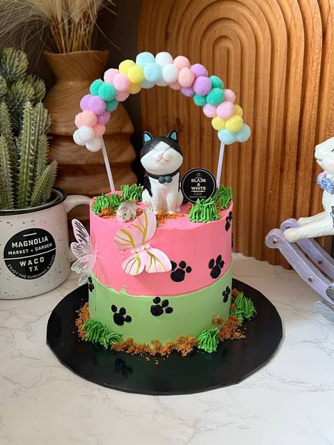 photo_1_2026-03-31_16-30-02