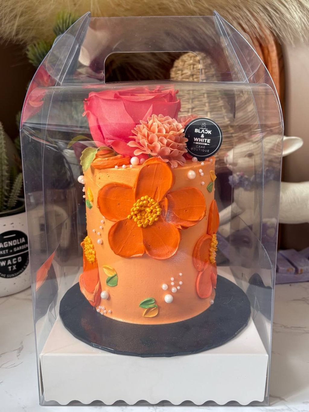 photo_2025-11-29_11-38-40