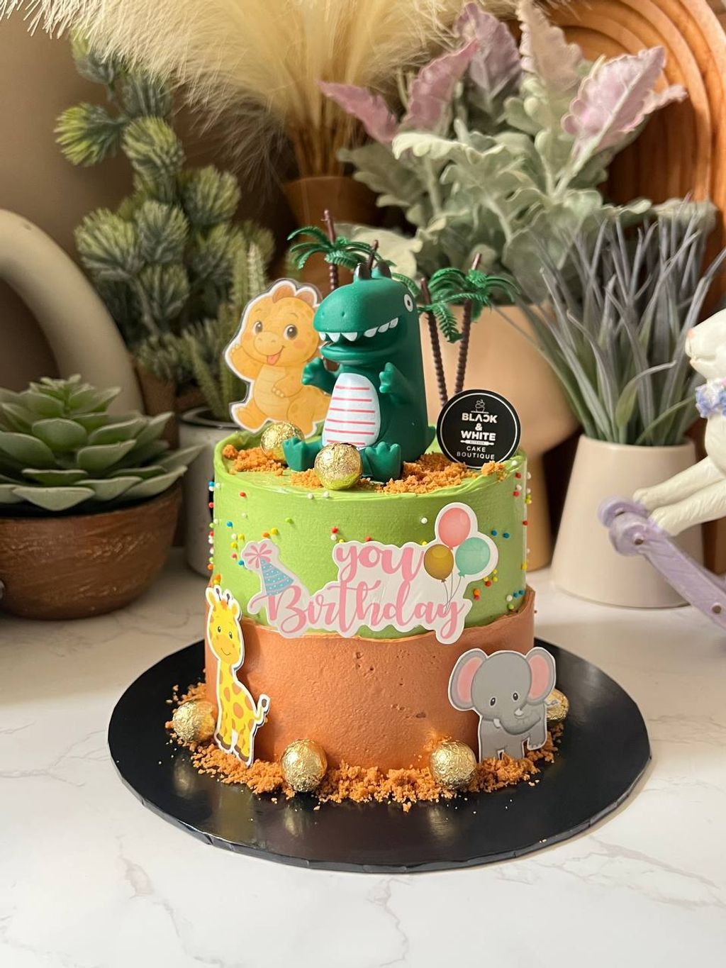 photo_1_2026-01-25_17-37-36