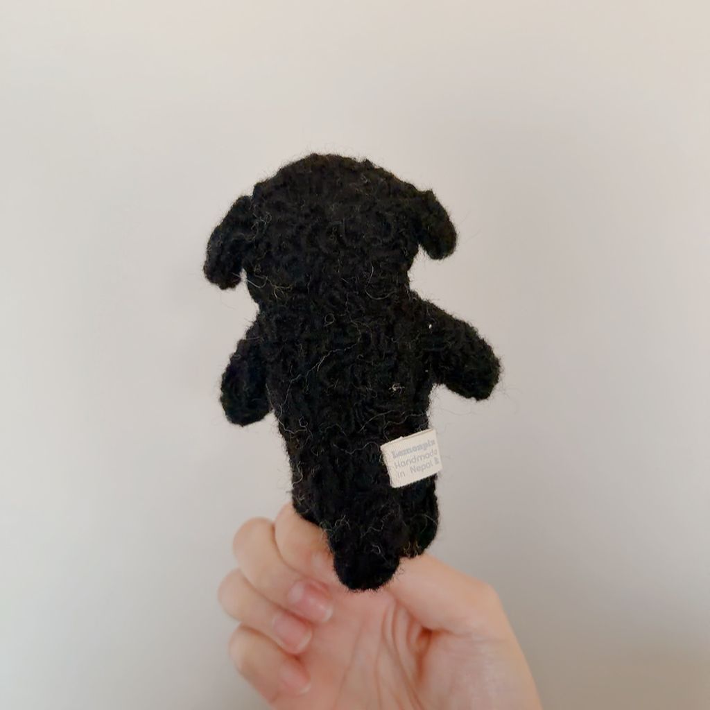 image_C63D89DC-D334-428D-A943-E4FA811765F7_1773313269