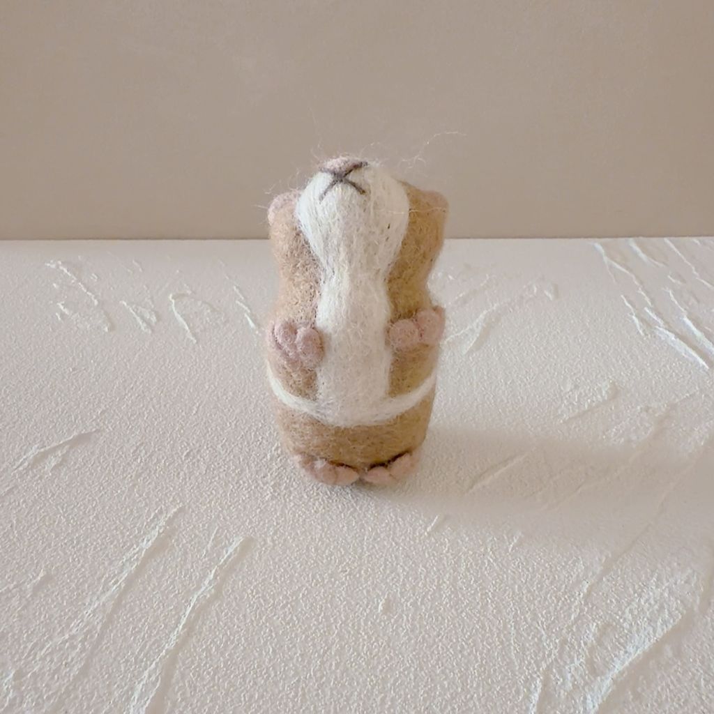 image_7DB6B4CD-50BC-4EF0-A123-FD54C26B1D57_1773313570