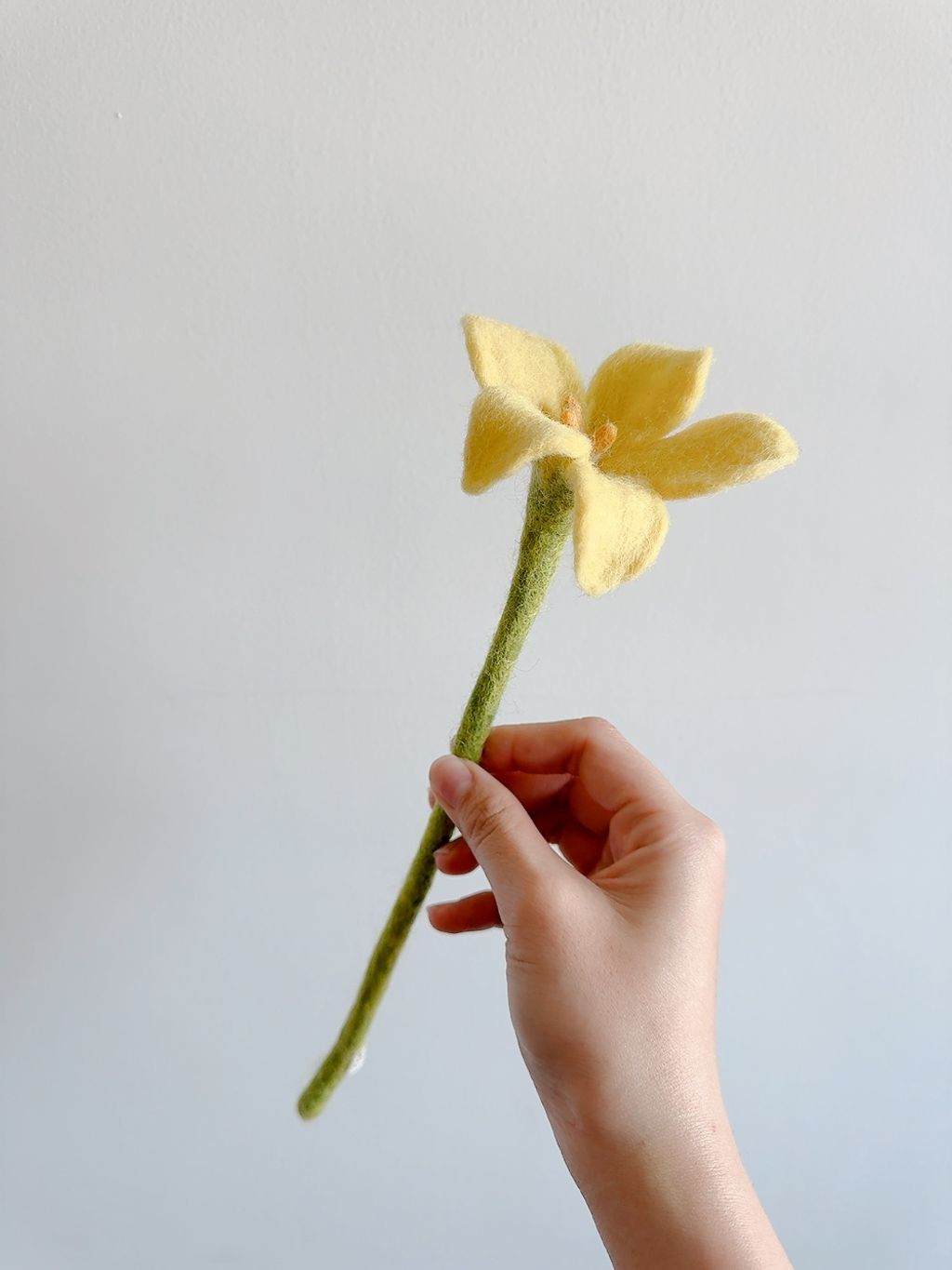 image_1C4229C2-9A1E-4EB1-8843-7D1C2BE96F6D_1776610440