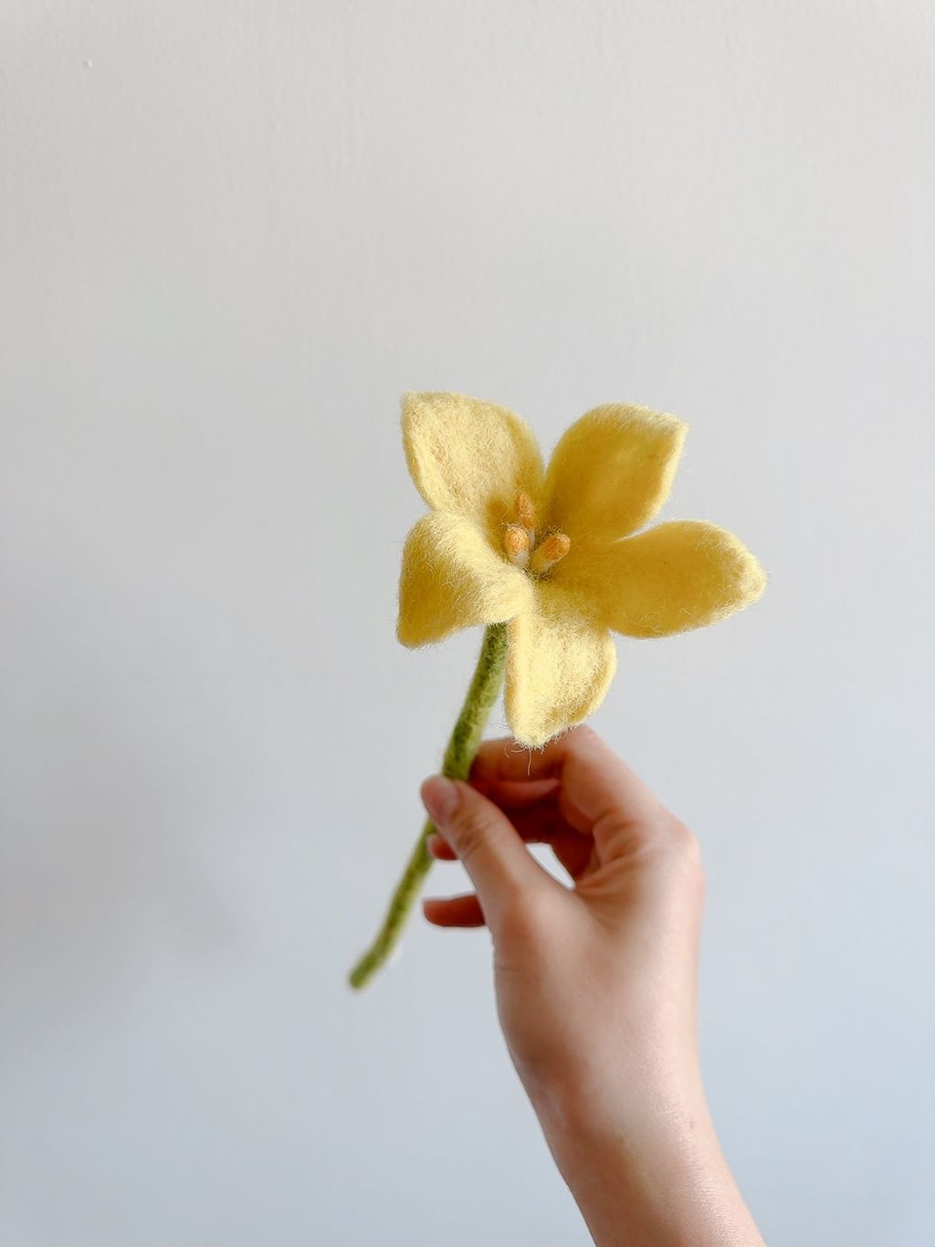 image_F7E1C8F6-B6D0-4107-BE4C-FC16145B91C4_1776610440