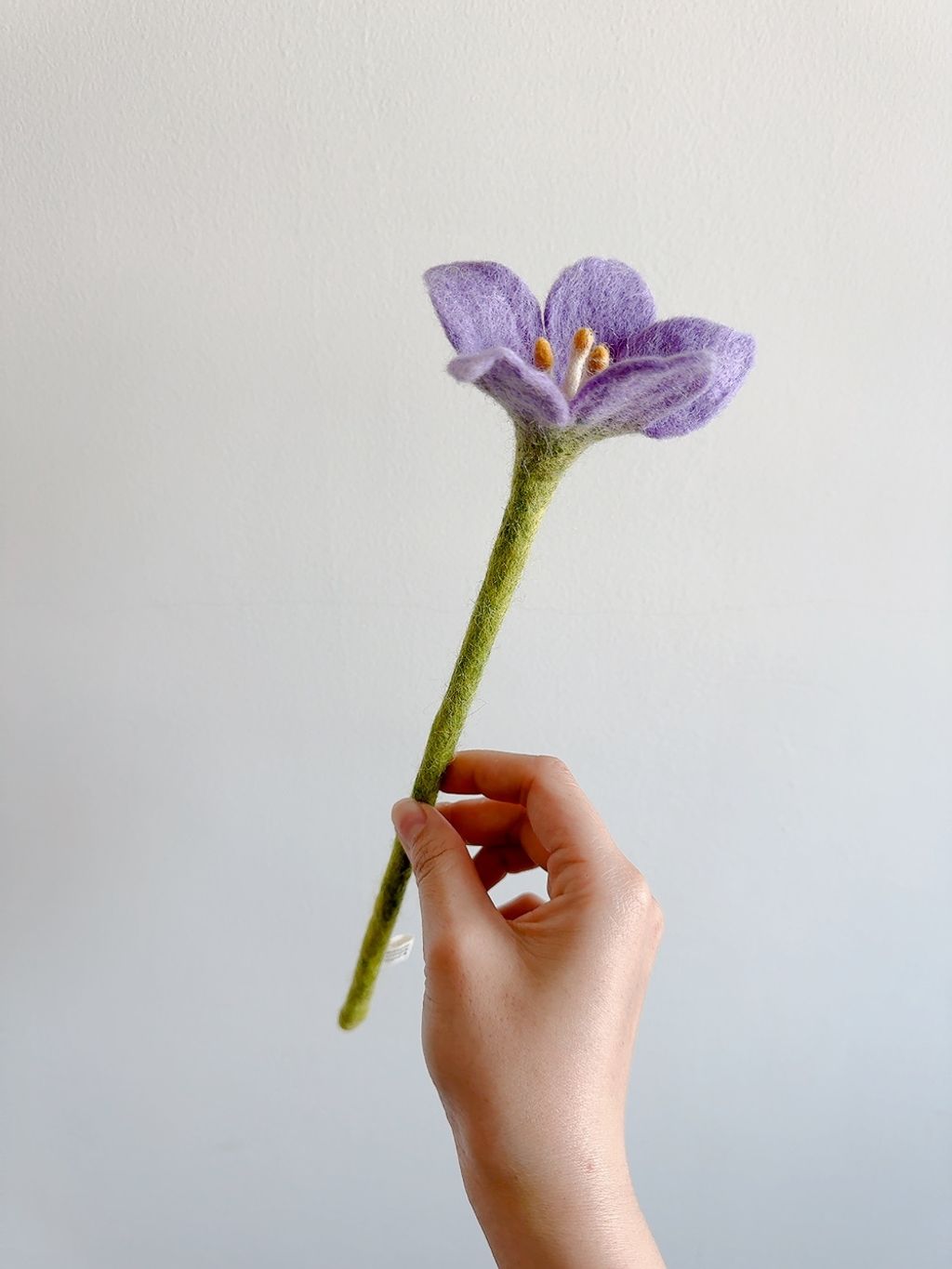 image_7B908169-B04B-4EA6-855F-1DF96CBFA3D1_1776610440