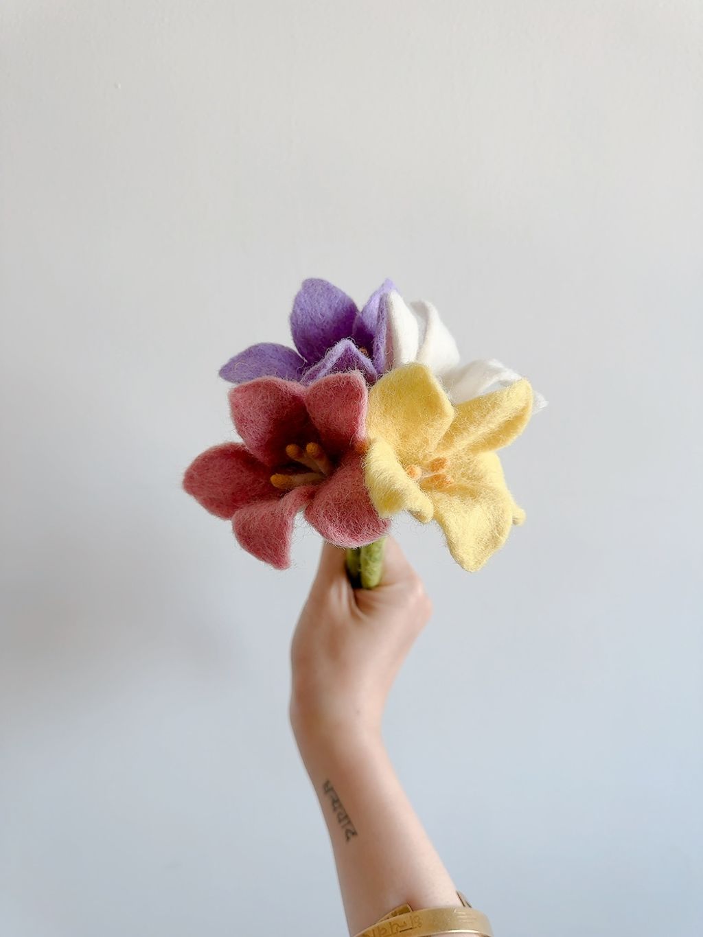 image_65146D26-241B-4478-895A-B3DCD75B04F2_1776610440